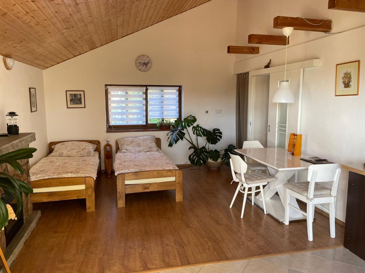 Apartman V Podhuri Jizerskych Hor Zelezny Brod Exterior foto