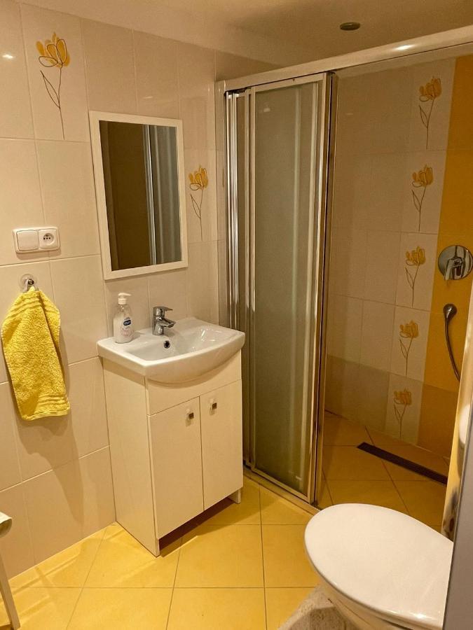 Apartman V Podhuri Jizerskych Hor Zelezny Brod Exterior foto